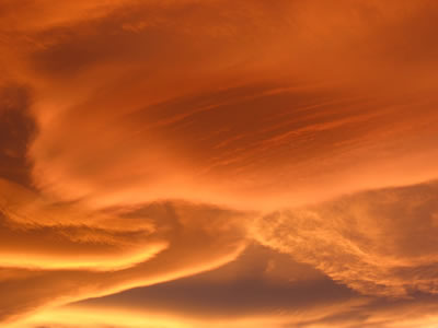 <a
  href="/earth/Atmosphere/clouds/lenticular.html&edu=high">Lenticular
  clouds</a> form on the downwind side of mountains. <a
  href="/earth/Atmosphere/wind.html&edu=high">Wind</a>
  blows most types of clouds across the sky, but lenticular clouds seem to stay
  in one place. Air moves up and over a mountain, and at the point where the
  air goes past the mountaintop the lenticular cloud forms, and then the air <a
  href="/earth/Water/evaporation.html&edu=high">evaporates</a>
  on the side farther away from the mountains. This close up of lenticular
  clouds was taken at sunset on November 20, 2006 in Boulder, Colorado.<p><small><em>       Courtesy of Roberta Johnson</em></small></p>