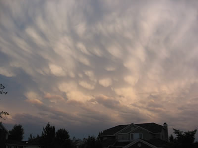 <a
  href="/earth/Atmosphere/clouds/mammatus.html">Mammatus
  clouds</a> are pouches of clouds that hang underneath the base of a cloud.
  They are usually seen with <a
  href="/earth/Atmosphere/clouds/cumulonimbus.html">cumulonimbus
  clouds</a> that produce very <a
  href="/earth/Atmosphere/tstorm.html">strong
  storms</a>. This photograph of mammatus clouds was taken on June 21, 2006 in
  Boulder, Colorado, at sunset. Notice how the light from the sun highlights
  the round features of these clouds.<p><small><em>       Courtesy of Roberta Johnson</em></small></p>