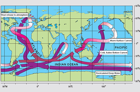 The <a
  href="/earth/Water/circulation1.html">thermohaline
  circulation</a>, often referred to as the ocean's "conveyor belt",
  links major surface and deep water currents in the Atlantic, Indian, Pacific,
  and Southern Oceans. This pattern is driven by changes in water <a
  href="/earth/Water/temp.html">temperature</a>
  and <a
  href="/earth/Water/salinity.html">salinity</a>
  that change the <a
  href="/earth/Water/density.html">density</a>
  of seawater.<p><small><em> Image courtesy <a href="http://www.clivar.org/publications/other_pubs/clivar_transp/d3_transp.htm">CLIVAR</a> (after W. Broecker, modified by E. Maier-Reimer).</em></small></p>