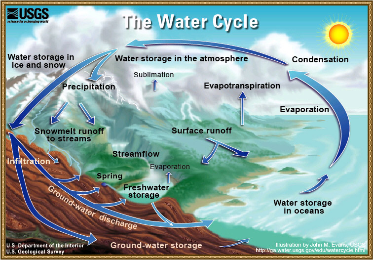 Diagram of the Water Cycle