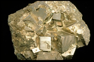 Gold or Fool's Gold? There are two easy ways to tell Fool's Gold, the
  <a
  href="/earth/geology/min_intro.html&dev=">mineral</a>
  <a
  href="/earth/geology/min_pyrite.html&dev=">pyrite</a>,
  from real gold. First, pyrite leaves a black streak on a white tile whereas
  gold leaves, well, a gold streak. Also, pyrite is much harder than gold.
  Pyrite is made up of the <a
  href="/earth/geology/periodic_table.html&dev=">elements</a>
  iron (Fe) and sulfur (S). Both of these two elements are among the <a
  href="/earth/geology/crust_elements.html&dev=">eight
  most abundant</a> in the <a
  href="/earth/interior/earths_crust.html&dev=">Earth's
  crust</a>.<p><small><em> Courtesy of Corel</em></small></p>