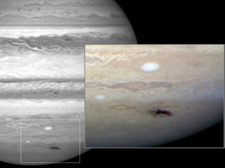 Anthony Wesley is an amateur astronomer in Australia. On the night of July
19, 2009, Wesley noticed a dark spot on
<a href="/jupiter/jupiter.html&edu=elem">Jupiter</a> that
hadn't been there before. He had discovered the remains of a huge
impact on Jupiter! Find out more
<a href="/jupiter/jupiter_impact_july_2009.html&edu=elem">here</a>.<p><small><em> Images courtesy of NASA, ESA, and H. Hammel (Space Science Institute, Boulder, Colo.), and the Jupiter Impact Team.</em></small></p>