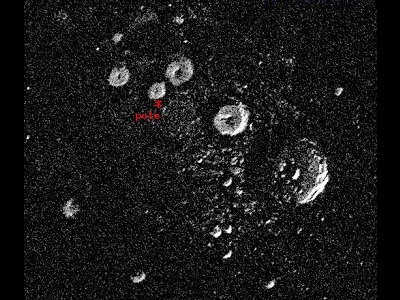 This image, made with <a href="/earth/Atmosphere/tornado/radar.html&edu=high">radar</a> data, shows the area around the <a href="/mercury/mercury_polar_regions.html&edu=high">North Pole of Mercury</a>. There are some white circles or "doughnuts" in the picture. The white circles might be ice at the bottom of <a href="/mercury/mercury_polar_regions.html&edu=high">meteor craters</a>. The picture is a few hundred kilometers across. It was made by the Arecibo radio telescope in Puerto Rico.<p><small><em>Image courtesy of NAIC - Arecibo Observatory, a facility of the NSF (J. Harmon, P. Perrilat, and M. Slade).</em></small></p>