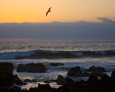 This beautiful sunset was captured off the coast of Chile in October,
  2009. Earth's ocean covers more than 70% of our planet's surface. <a
  href="/earth/Water/ocean_motion.html">Ocean
  water is always moving</a>. It moves around by <a
  href="/earth/Water/ocean_currents.html">surface
  ocean currents</a>, <a
  href="/earth/Water/ocean_upwelling.html">upwelling</a>,
  <a
  href="/earth/Water/ocean_tides.html">tides</a>,
  and the <a
  href="/earth/Water/circulation1.html">global
  ocean conveyor</a> or <a
  href="/earth/Water/circulation1.html">thermohaline
  circulation</a>. The ocean's tides are one type of tide created by <a
  href="/glossary/tidal_forces.html">gravitational
  force</a>.<p><small><em>Image courtesy of Carlye Calvin</em></small></p>