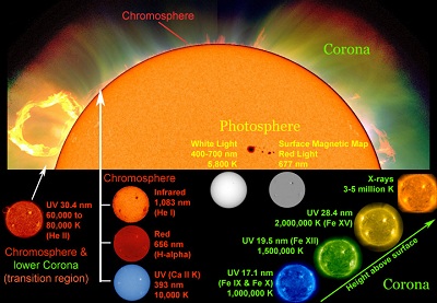 Astronomers use different wavelengths of light and other <a href="/physical_science/magnetism/em_radiation.html">electromagnetic emissions</a> as <a href="/sun/spectrum/multispectral_sun.html">"windows" into different regions of the Sun</a>. White light with a <a href="/physical_science/basic_tools/wavelength.html">wavelength</a> between 400 and 700 nanometers (nm) shows the <a href="/sun/atmosphere/photosphere.html">photosphere</a>, the visible "surface" of the Sun. Other wavelengths highlight different features of the Sun, such as its <a href="/sun/sun_magnetic_field.html">magnetic field</a>, the <a href="/sun/atmosphere/chromosphere.html">chromosphere</a> and the <a href="http://www.windows2universe.org/sun/atmosphere/corona.html">corona</a>.<p><small><em>Composite image courtesy of Windows to the Universe using images from SOHO (NASA and ESA), NCAR/HAO/MLSO, Big Bear Solar Observatory, and SDO/AIA.</em></small></p>