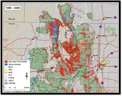 Progress map 1996-2006.jpg